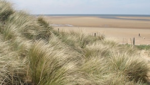 Ein Strand mit Dünen und wolkenlosem Himmel.