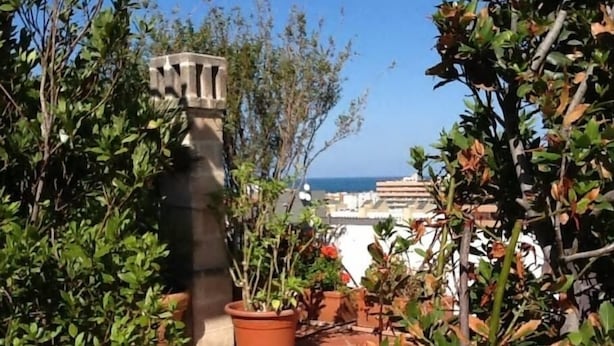 Un jardin sur le toit, agrémenté de plantes en pot et d’une structure en pierre.