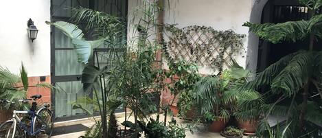 Cortile