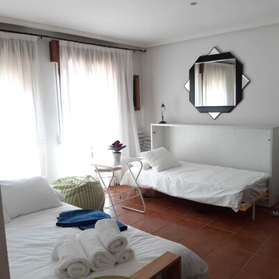 Small and Cozy apartment in Riaza