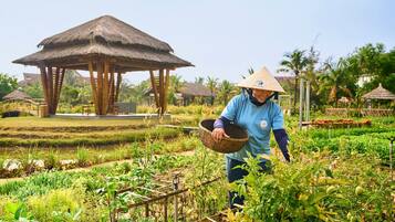 A person in a blue shirt and straw hat working in a garden with a thatched-roof structure in the background.