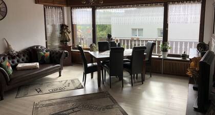 Privates Messeapartment Basel bis 3 Personen