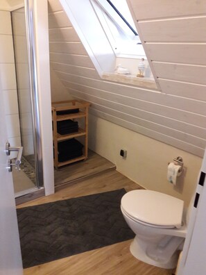 Shower, hair dryer, towels, soap - Apartment Dandelion (Wolfshagen im Harz)