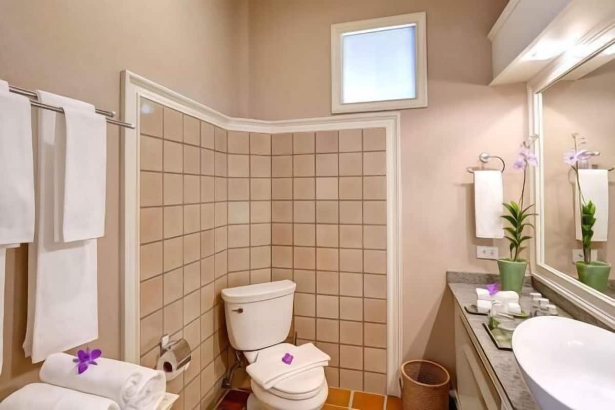 Bathroom | Shower, free toiletries, hair dryer, bathrobes