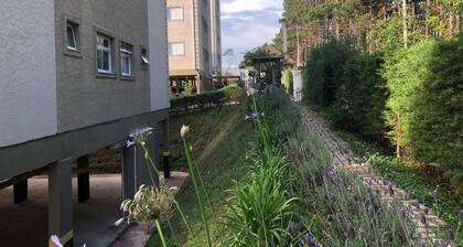 Beautiful Complete Apartment | Rustic & Modern with Garage