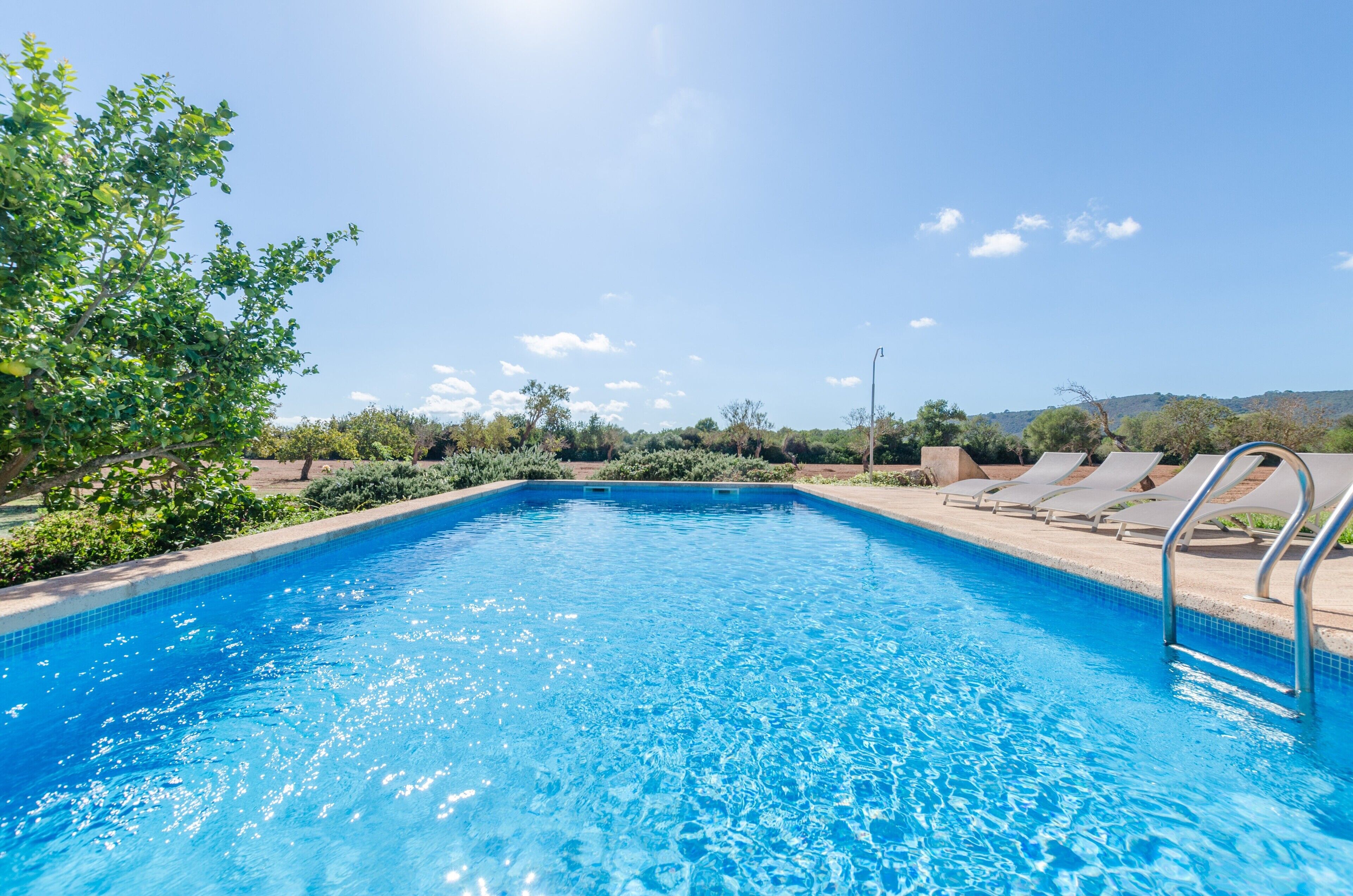 A rectangular swimming pool with clear blue water, surrounded by lounge chairs and a tree on one side.