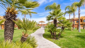 Un camino que lleva a un edificio con mesas al aire libre y palmeras.