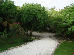 Stroll through a serene garden, surrounded by lush greenery and vibrant flowers.