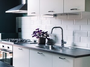 Fridge, oven, stovetop, electric kettle