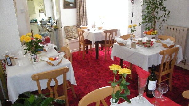 Un espace repas avec des tables dressées pour le repas, des chaises, une moquette rouge et une plante en pot.
