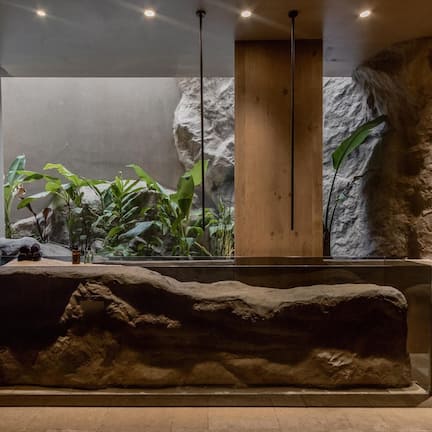 A reception area with a large rock display, a wooden reception desk, and a plant wall.