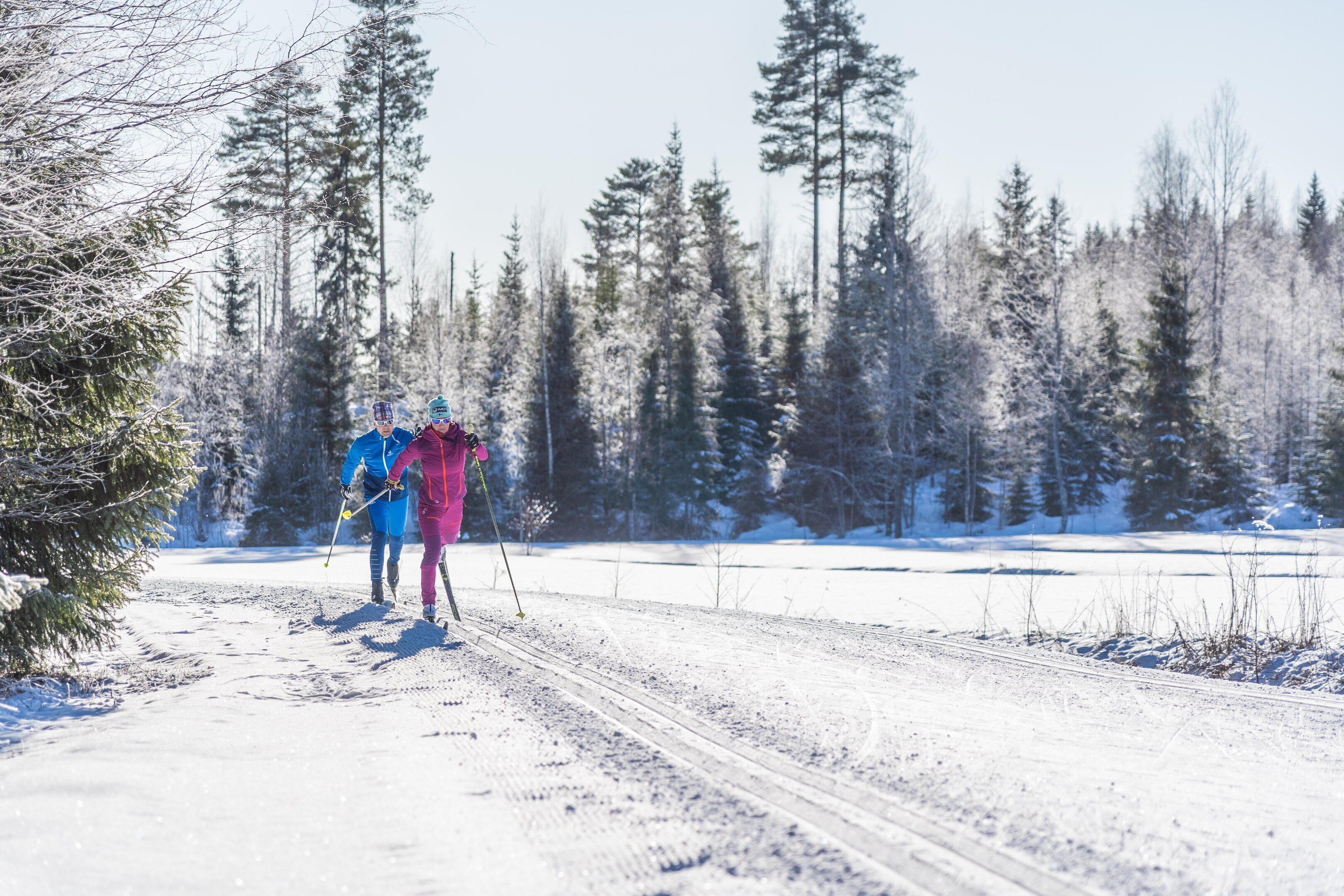 En snötäckt skogsstig med två personer som åker skidor.