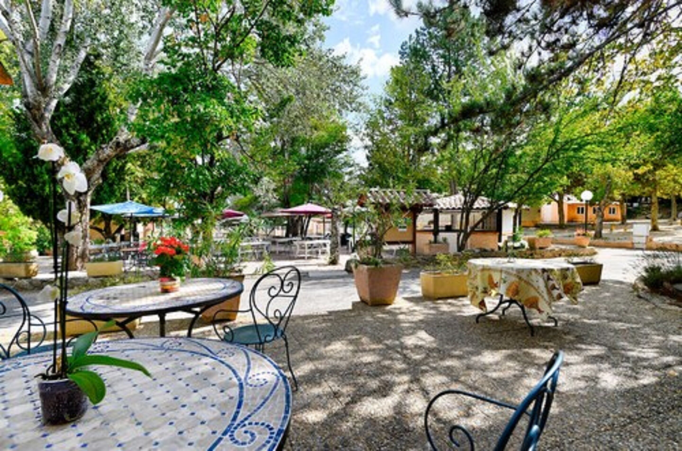 供應午餐和晚餐