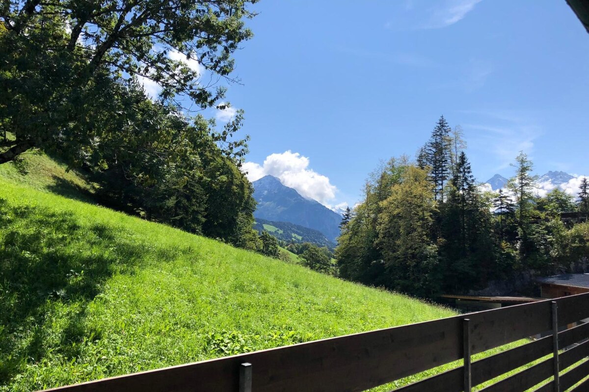 A grassy hillside with a wooden fence and a mountain in the background.