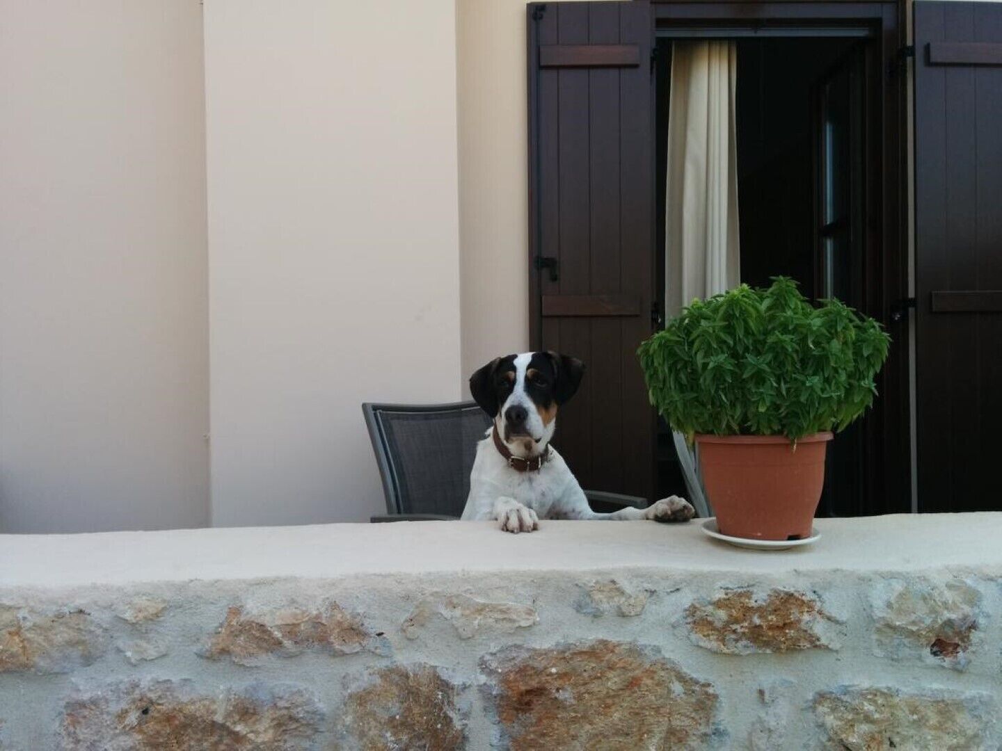 Elezar "Elia" sea view apartment, Mani Peninsula  Greece