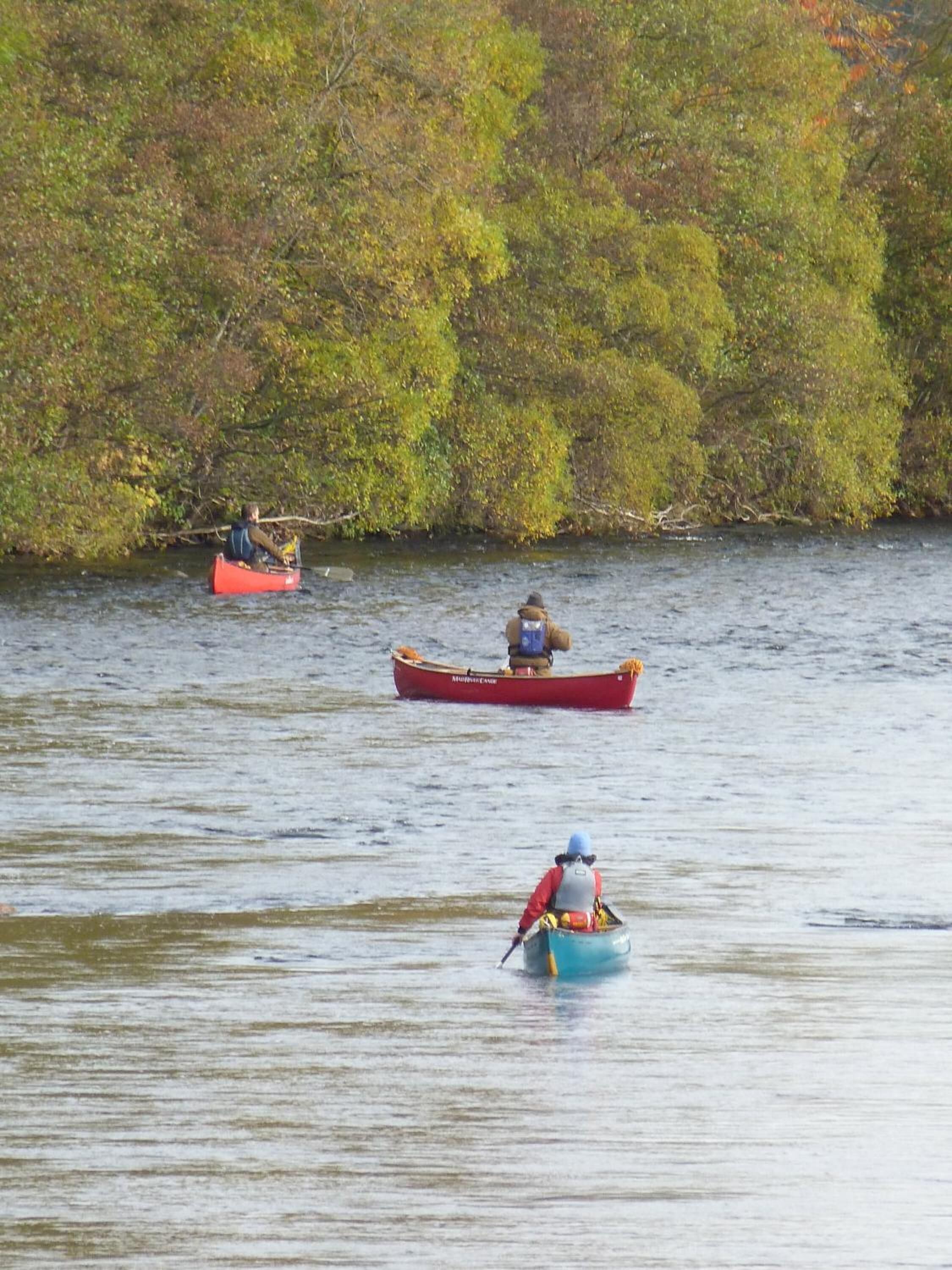 Tres canoas en un río tranquilo rodeado de vegetación densa.