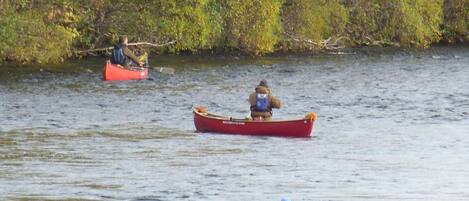 Tres canoas en un río tranquilo rodeado de vegetación densa.