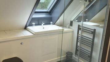 A modern bathroom with a skylight, a toilet, a sink, and a glass shower enclosure.
