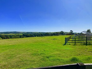 المنطقة المحيطة بالمنشأة