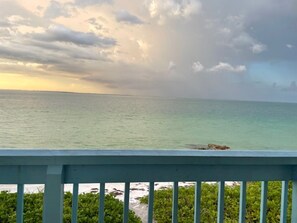 Property grounds - Breathtaking Views and Lasting Memories - Beachfront Fun & Relaxation (Anna Maria)