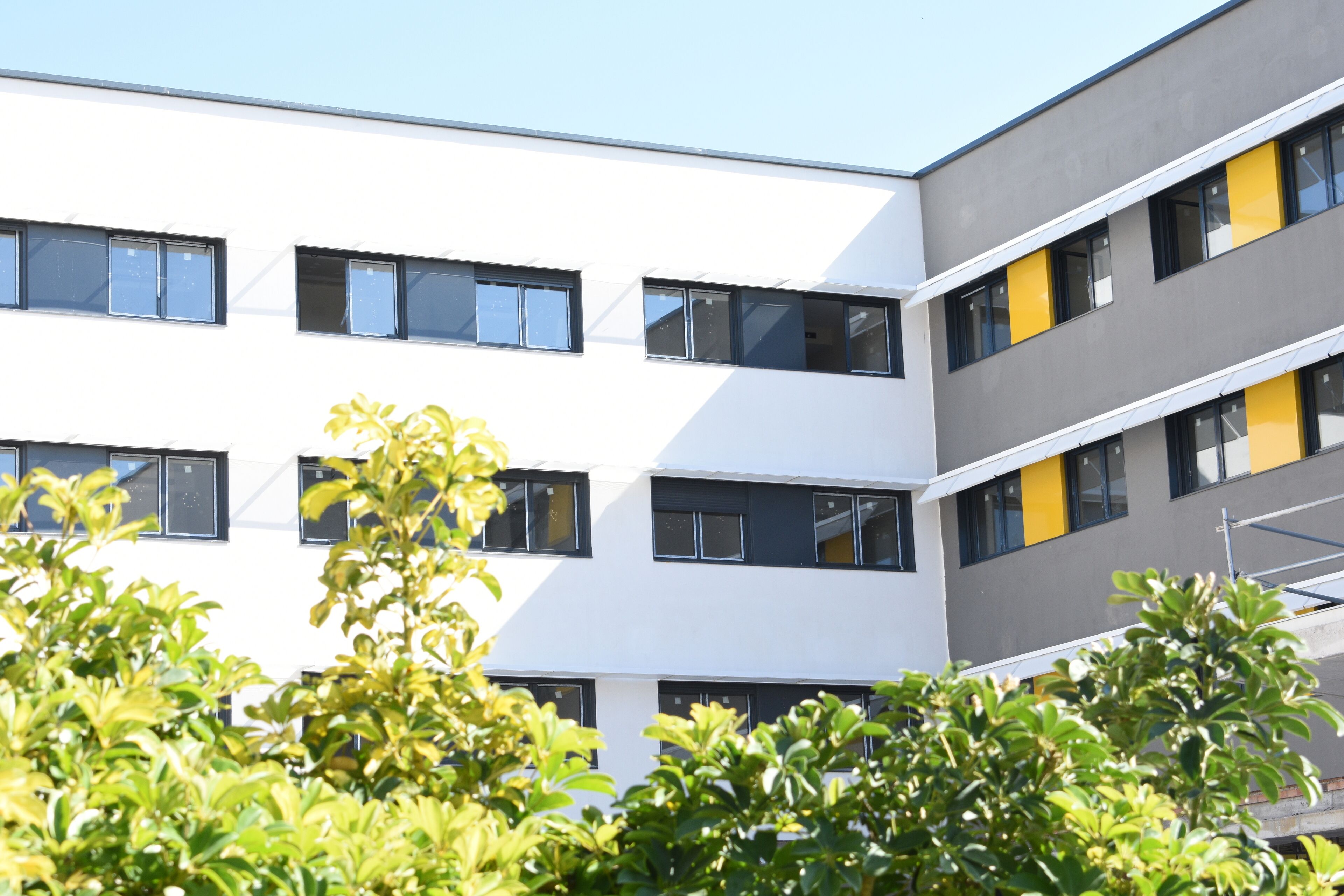 Foto - Residencia Universitaria Resa Campus Málaga