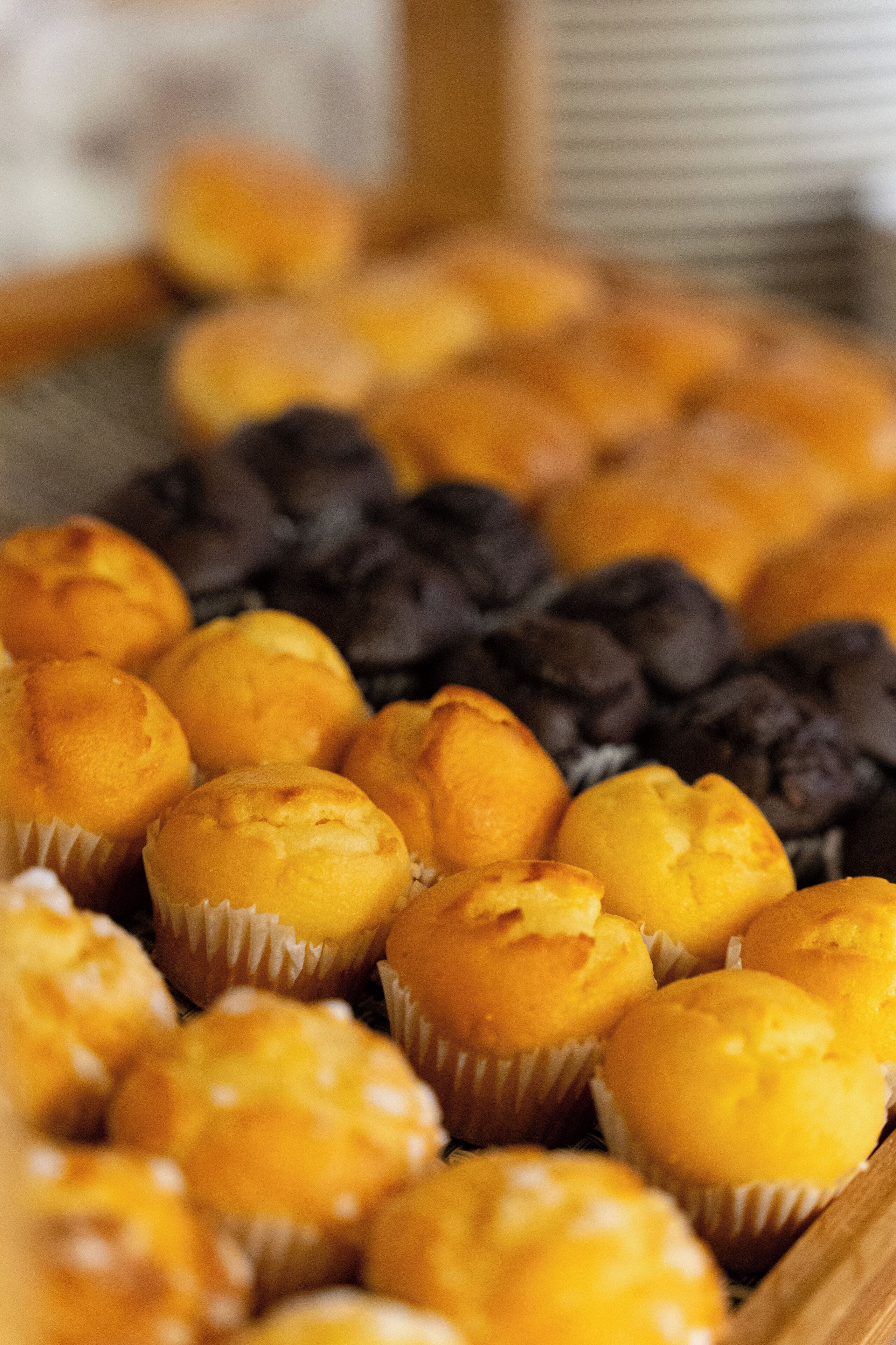 A tray of muffins in various colors.