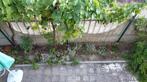 Property grounds - If you love nature in the hills cottage surrounded by greenery p.t. (Reggio Calabria)