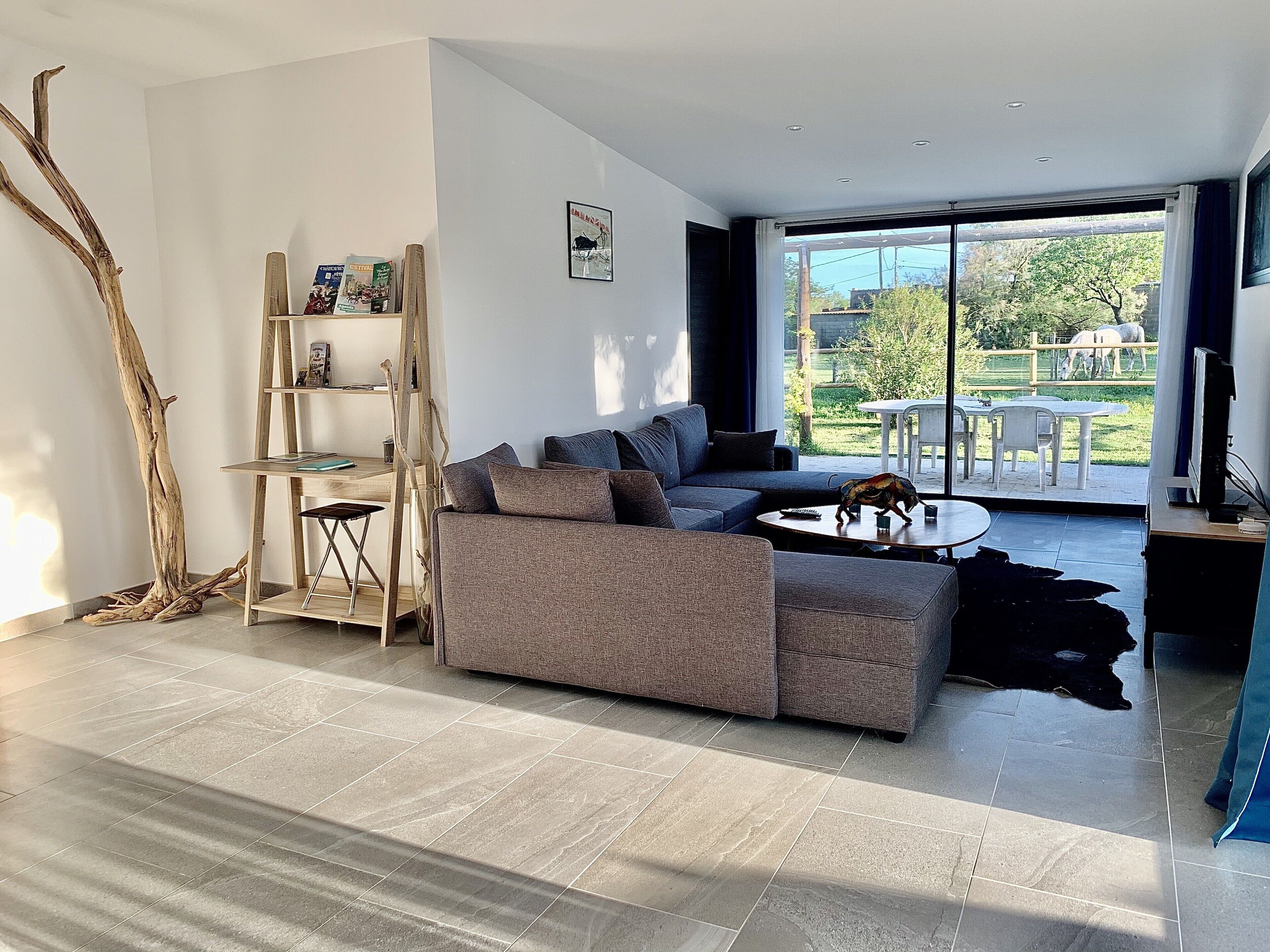 Gite jacuzzi swimming pool Camargue freewifi