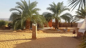 Un área arenosa al aire libre con palmeras y una estructura de ladrillo.