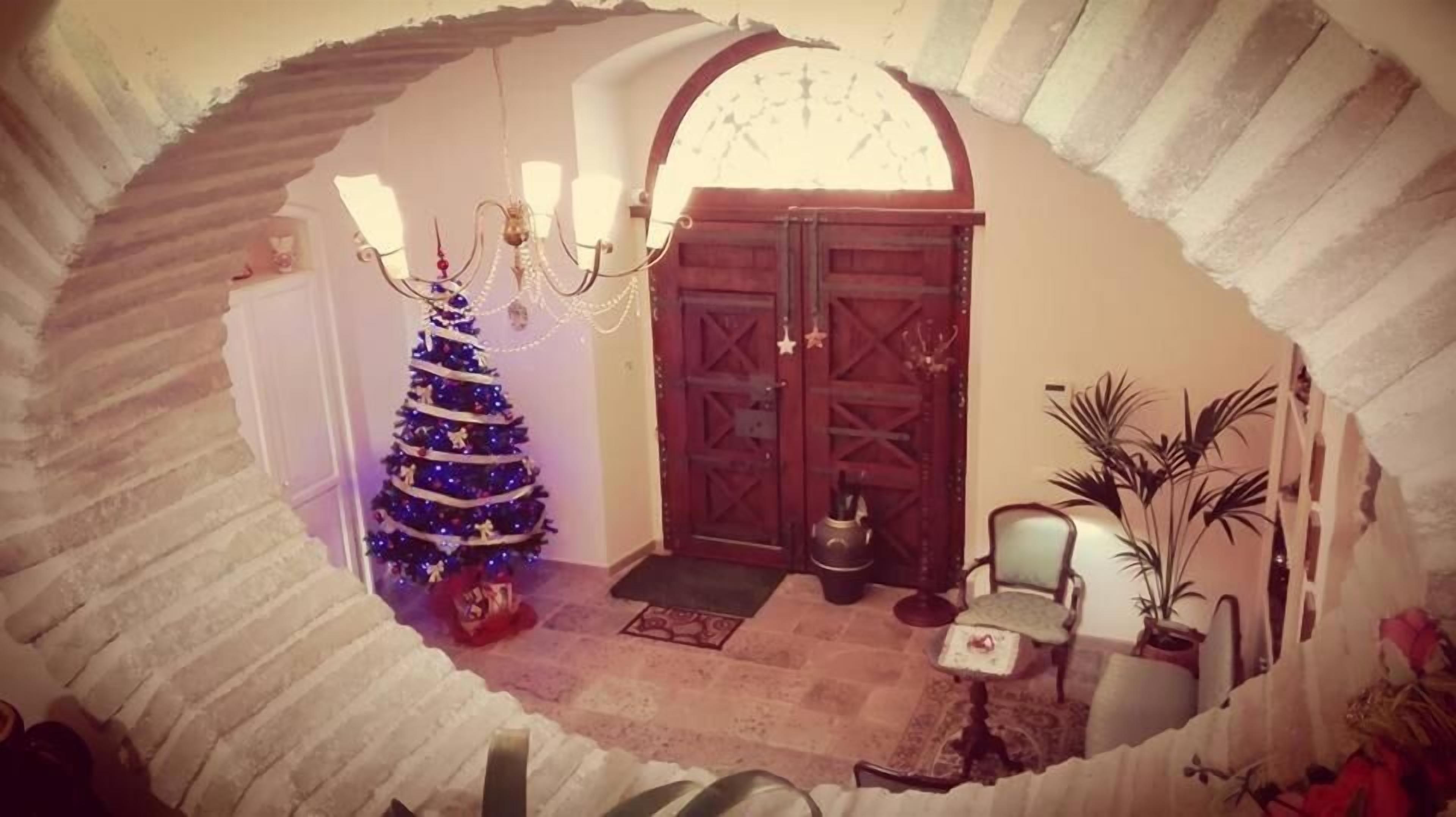 A room with a Christmas tree, a chandelier, and a door with a decorative arch.