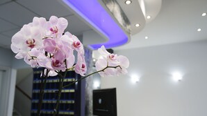 Un interior moderno con una recepción, un monitor de computadora y una escalera al fondo.