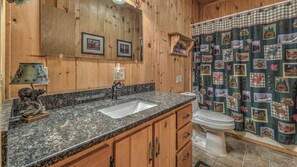 Combined shower/bathtub, hair dryer, towels