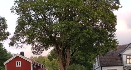 19th-century village in living countryside close to nature.