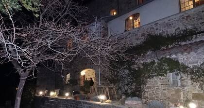 Chambre d'hôte le Mas du Galibot