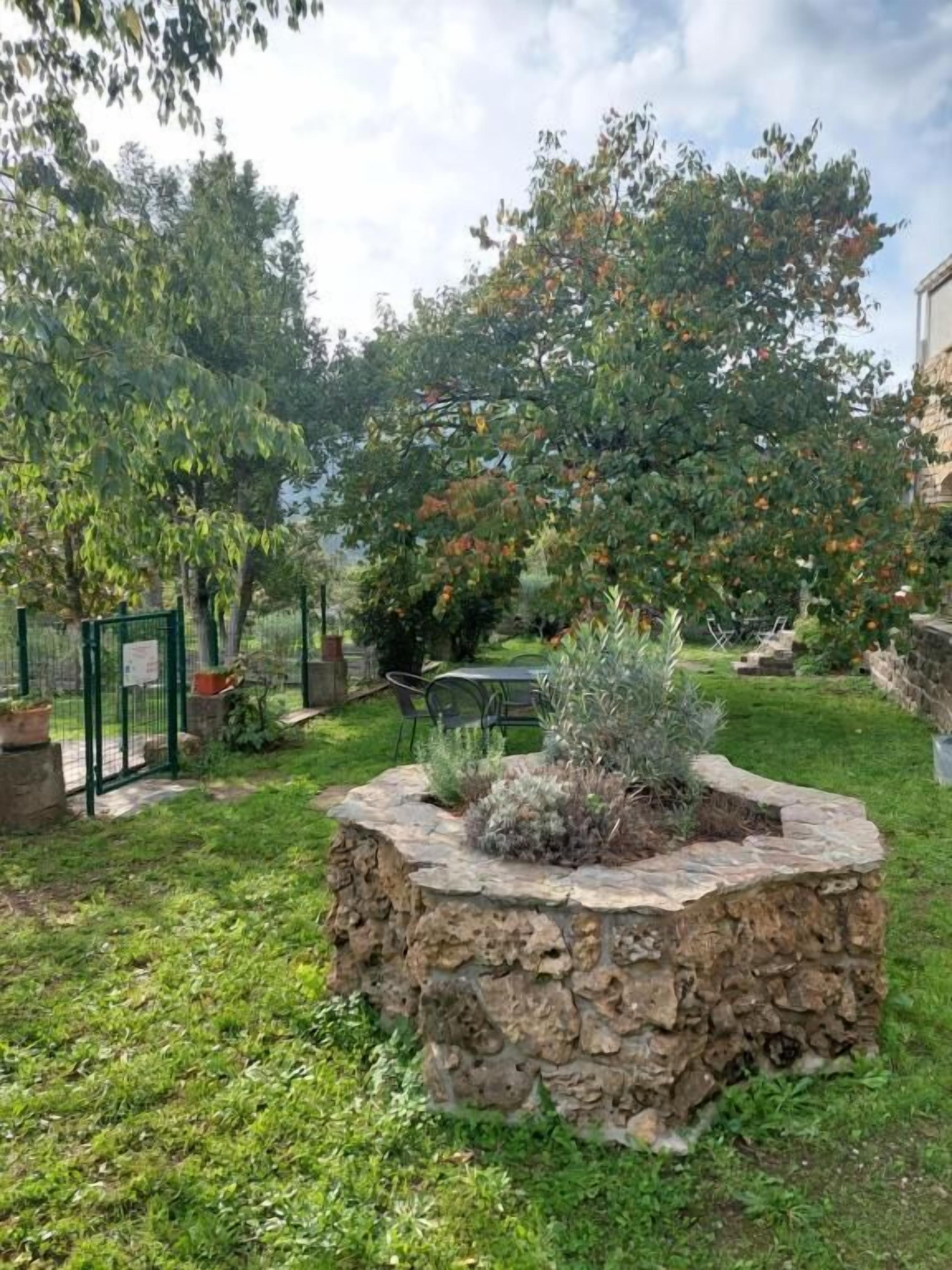A stone planter with plants, a green fence, and a tree with orange leaves.