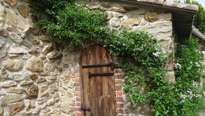 Un mur de pierre avec une porte en bois et des plantes grimpantes.