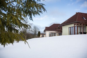 Un barrio residencial con casas en una ladera cubierta de nieve.