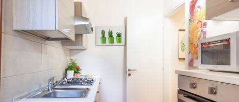 A compact kitchen with a gas stove, sink, and a microwave. There is a door leading to another room, and a small potted plant on the counter.