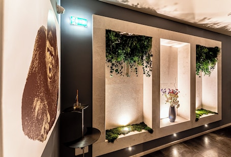 Neko Boutique Hotel
