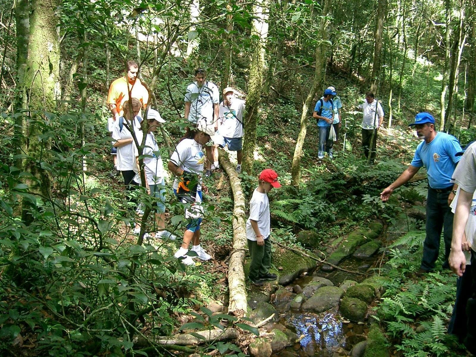 Eine Gruppe von Menschen in bewaldeter Landschaft mit einem Bach.