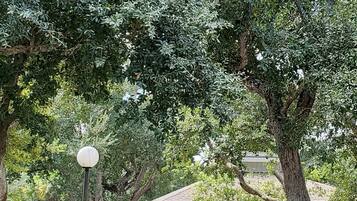 Enceinte de lâhĂ©bergement