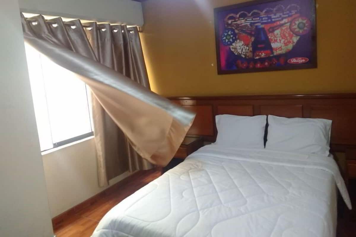 Habitación ejecutiva | Decoración personalizada, cortinas blackout y wifi gratis