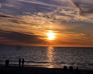 Beach nearby, sun loungers, beach towels - Steps to the Beach, No Car Needed, Completely Permitted Remodel + King Size Bed! (Indian Rocks Beach)
