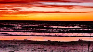 Playa en los alrededores, camastros y toallas de playa
