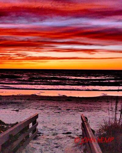 Steps to the Beach, No Car Needed, Completely Permitted Remodel + King Size Bed!