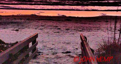 Steps to the Beach, No Car Needed, Completely Permitted Remodel + King Size Bed!