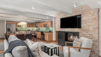 TV connectée, cheminée, lecteur de DVD, chaîne hi-fi