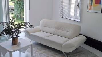Fernseher, Kamin