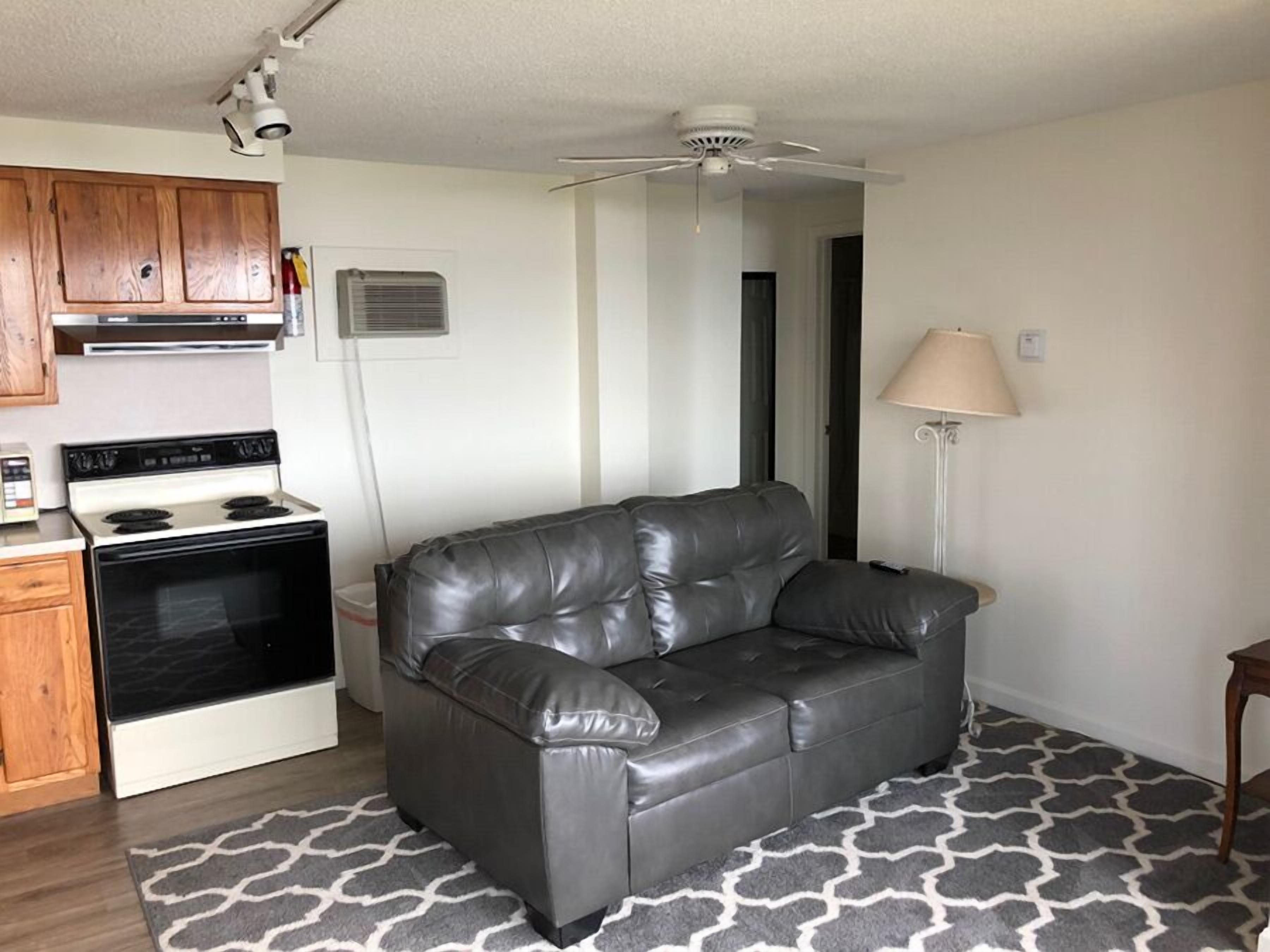 A compact living space with a kitchenette, a leather sofa, a patterned rug, and a ceiling fan.