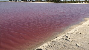 A beach with pinkish water and a sandy shore. - Hotel el Faro (Río Lagartos)